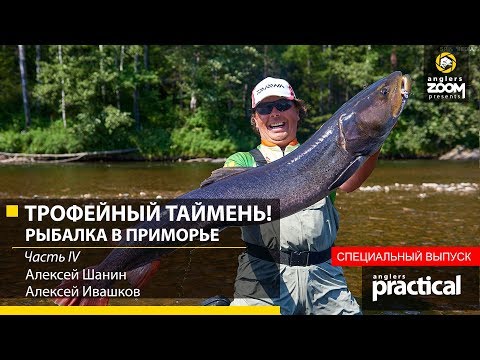 Видео: ТРОФЕЙНЫЙ ТАЙМЕНЬ! Рыбалка в Приморье. Шанин и Ивашков. Часть 4. Anglers Practical