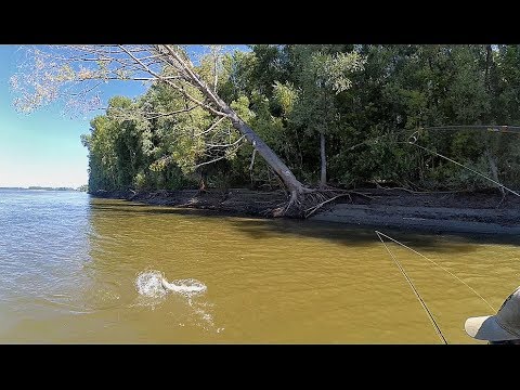 Видео: ЭТО БЕСПРЕДЕЛ !!!! ЩУКИ ОДУРЕЛИ!!!! Рыбалка на Оби с лодки!