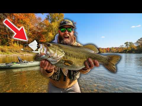 Видео: Речной окунь просто ВЗОРВАЛСЯ на этой новой приманке Buzzbait!