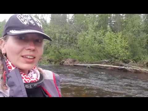 Видео: Анюй 2019