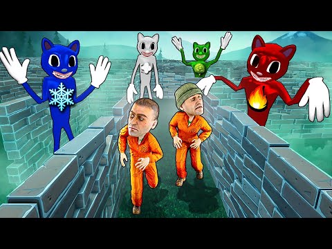 Видео: СТИХИЙНЫЕ МУЛЬТЯШНЫЕ КОТЫ В ЛАБИРИНТЕ! ОПАСНЫЕ SCP ИЩУТ НАС! ВЫБРАТЬСЯ ИЗ ЛАБИРИНТА В Garry`s Mod