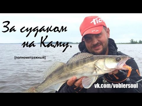 Видео: Ловля судака летом на спиннинг. Джиг на Каме. Силиконовые приманки на судака.