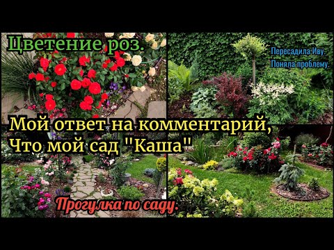 Видео: Прогулка по саду. Обзор роз. Ответ на комментарий, что мой сад "каша"