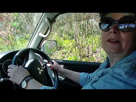 Видео: ММС Паджеро Мини- так ли нужна пониженная передача?