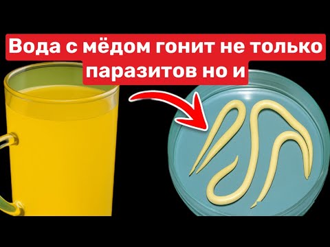 Видео: Пила ВОДУ С МЕДОМ утром и на ночь ежедневно..