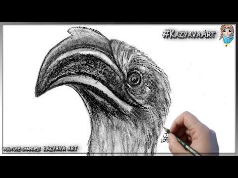 Видео: Как нарисовать Зазу. Птица носорог из фильма Король лев 2019