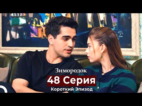 Видео: Зимородок 48 Cерия (Короткий Эпизод) (Русский дубляж)
