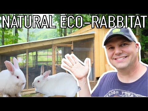 Видео: Создание естественной колонии кроликов | Bunny Barn & Habitat