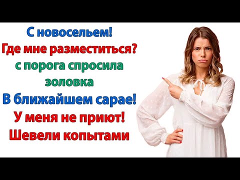 Видео: Твоя сестра помогает? Выбрасывая вещи? Устраивая тусовки? Воруя одежду? Чтобы духу ее здесь не было!
