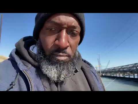 Видео: Как поймать лимит камбалы на разводном мосту «Галвестонский канал»