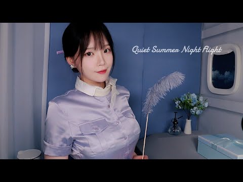 Видео: ASMR(Sub✔)Тихий летний ночной полет, VIP-обслуживание поможет вам уснуть