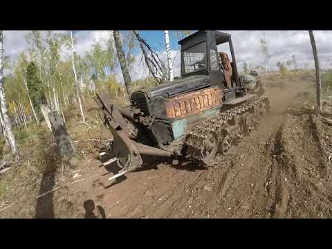 Видео: ЗОЛОТОЙ ПОМОЩНИК на гусеницах