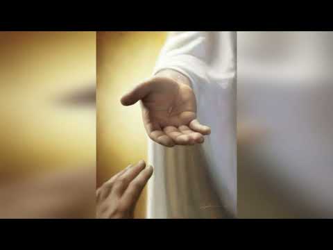 Видео: 04 листопада "Вільний як птах" (Ранкові читання 2025)