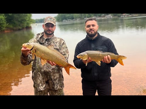 Видео: Рыбалка в сша 🇺🇸 на карпа!!!👌
