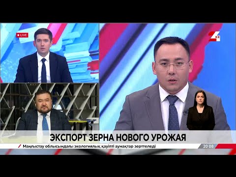 Видео: Экспорт зерна нового урожая. Вадим Копылов
