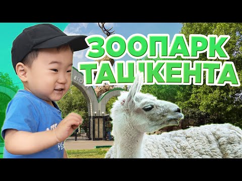 Видео: ЗООПАРК ТАШКЕНТА | vlog#3 | семья шин