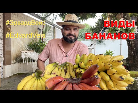 Видео: Виды бананов | Банановые легенды #2 | Колхозник Эдвард