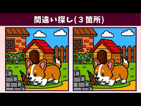 Видео: Найдите 3 отличия | Иллюстрация Версия #2014