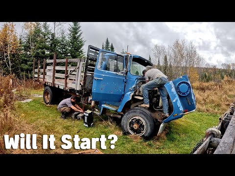 Видео: Был ли этот старый дизельный грузовик хорошей сделкой?