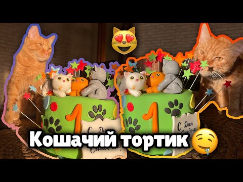 Видео: День рождения Симбочки Младшего! feat. Yolo House