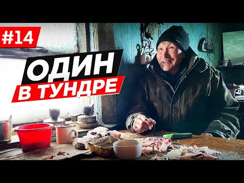 Видео: КАК ЖИВУТ ЧУКЧИ В АРКТИКЕ. ОЛЕНЕВОД ОТШЕЛЬНИК. ОДИН НА СЕВЕРЕ ЧУКОТКИ. РУССКАЯ АРКТИКА. Часть #14