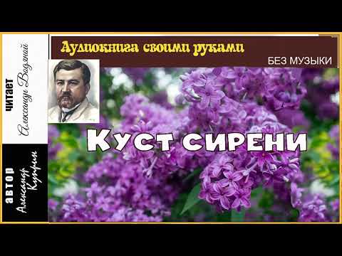 Видео: А. Куприн. Куст сирени (без муз) - чит. Александр Водяной