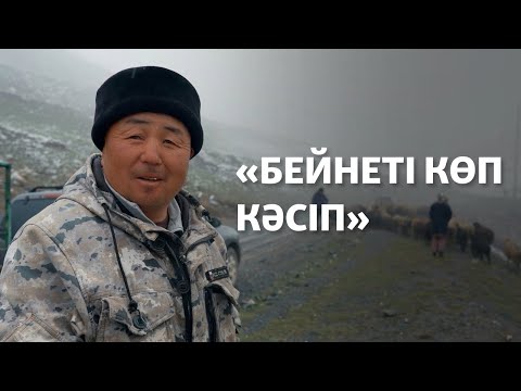 Видео: Қырғыз шопандарының ауыр еңбегі