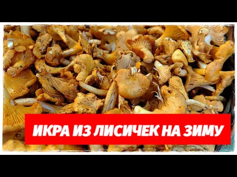 Видео: Грибная Икра Из Лисичек На Зиму. 213