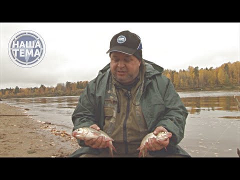 Видео: Добыть язя дедовским методом.