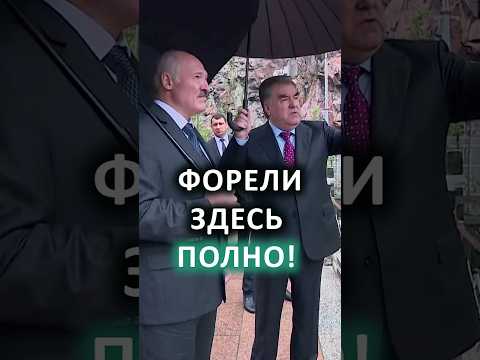 Видео: Рахмон показал Лукашенко красоты Варзоба! // Посмотрите на резиденции главы Таджикистана! #shorts
