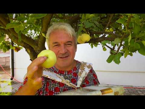 Видео: Фильм Валерия Сёмина «По городам и странам-с баяном. Калининградская область»