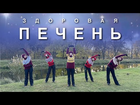 Видео: ЗДОРОВАЯ ПЕЧЕНЬ