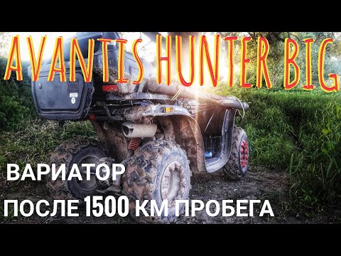 Видео: вариатор квадроцикла AVANTIS HUNTER BIG после пробега 1500км