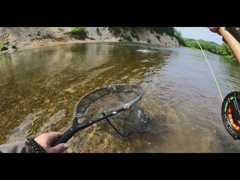 Видео: Сахалин. Нахлыст, лето, лосось. Очередная рыбалка с ночевкой. Июнь 2023