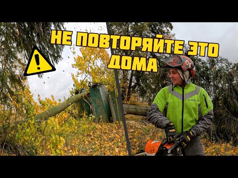 Видео: Что будет если уронить дерево на старую постройку?