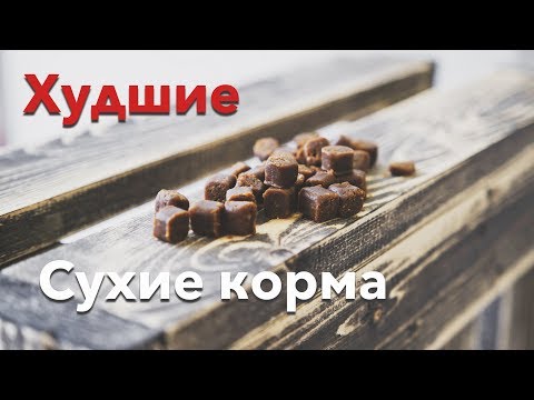 Видео: ТОП 11 некачественных сухих кормов для кошек