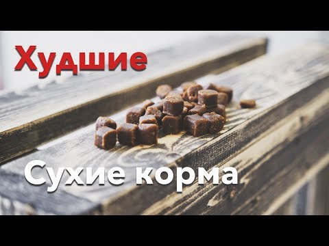 Видео: ТОП 11 некачественных сухих кормов для кошек