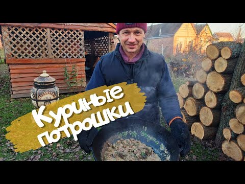 Видео: Куриные потрошки с грибами в казане