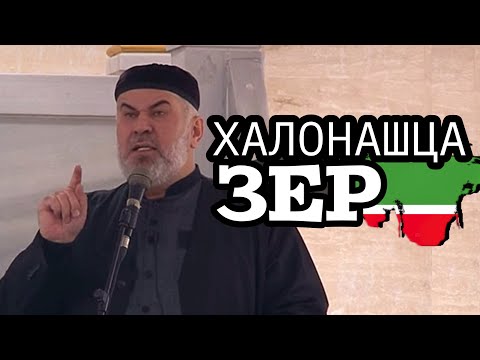 Видео: ХАЛОНАШЦА ЗЕР | ЮНУС ПАЙХАМАРХ лаьцна | АСВАД ХАРЕХАНОВ ХЬЕХАМ