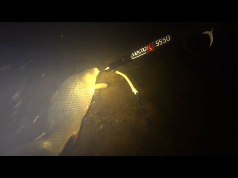 Видео: Подводная охота с ружьем Вектор s550