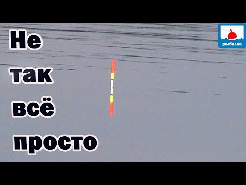 Видео: Как ловить плотву рано весной на озере, особенности