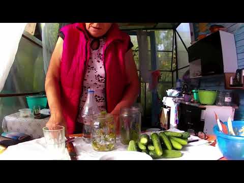 Видео: ОГУРЧИКИ КАК У ДЯДИ ВАНИ