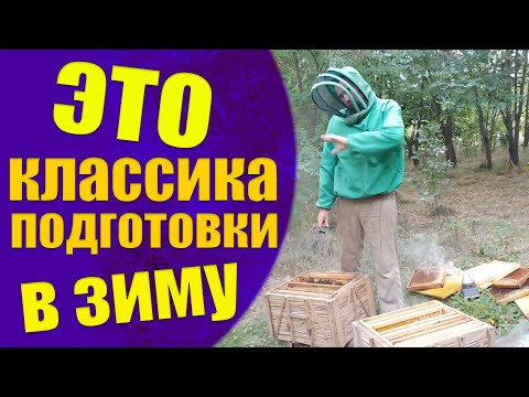 Видео: Как правильно собрать гнездо пчел на зиму. Сокращаем гнездо пчел в ульях, забираю второй корпус