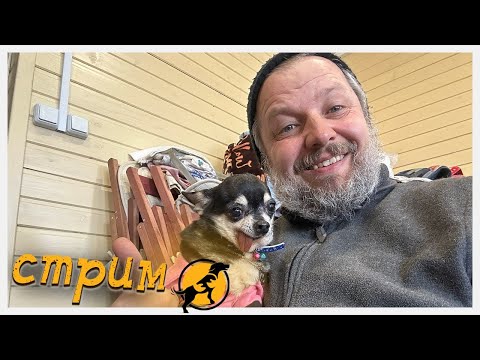 Видео: Вечерний стрим, отвечаем на ваши вопросы, делимся новостями 11.10.2025