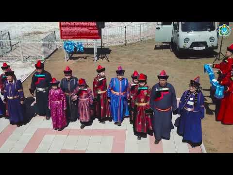 Видео: Встреча белых лебедей 2024