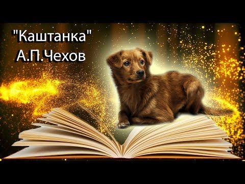 Видео: "Каштанка" А.П.Чехов