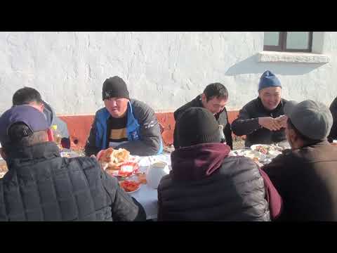 Видео: Саналы ауылы. Рахымберді әулеті бата алу көкпары. 26.11.2023