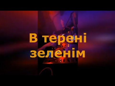 Видео: Прем'єра пісні Сергій Басс - "В терені зеленім"