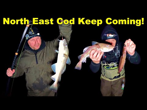 Видео: Ловля трески на живца! Камбуа | Нортумберленд | Морская рыбалка в Великобритании