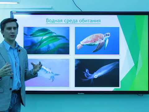 Видео: Тема №4. Среды жизни и приспособления организмов к ним.